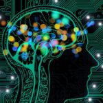 Les technologies de l’information empêchent le cerveau de créer des innovations