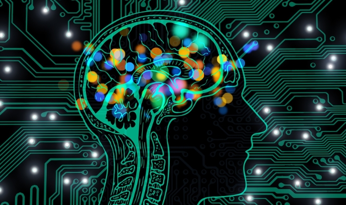 Les technologies de l'information empêchent le cerveau de créer des innovations